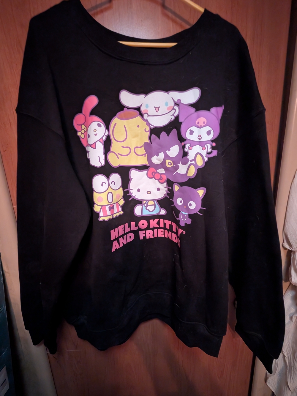 Hello Kitty Black Sweatshirt with Pink, Purple and Yellow Character Graphic